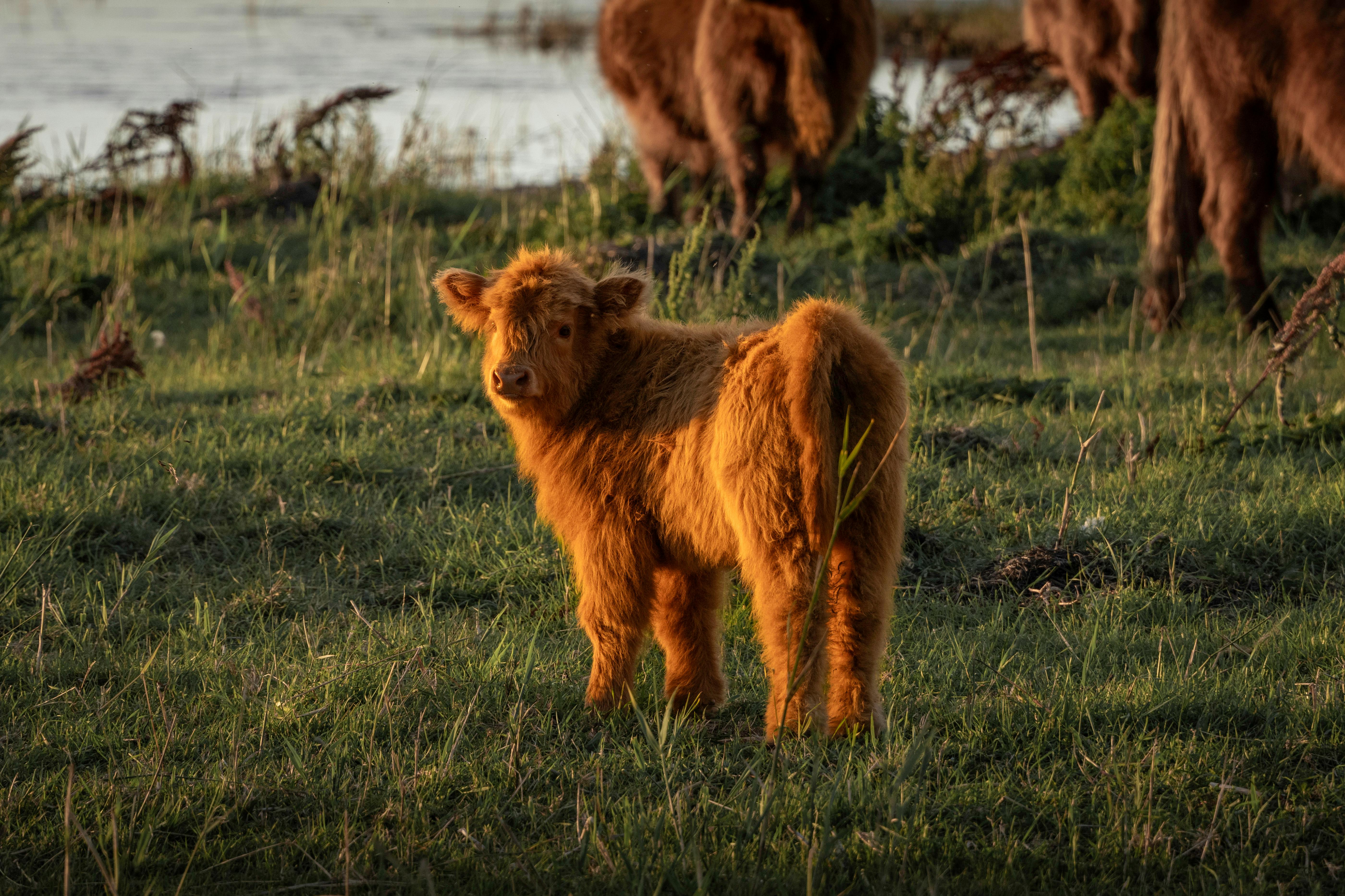 Le Copywriting : L’Art d’Écrire Pour Vendre en Marketing Digital