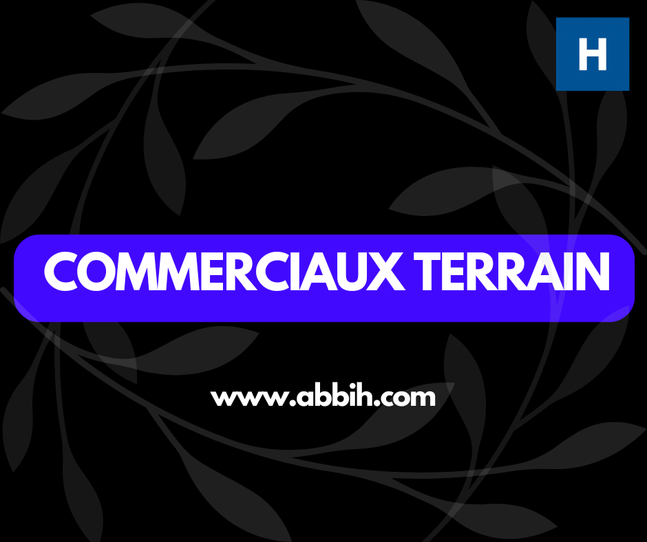 COMMERCIAUX MOTORISÉS (H/F)