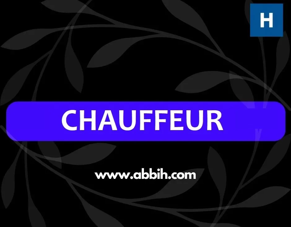 FAMILLE RECRUTE CHAUFFEUR PARTICULIER