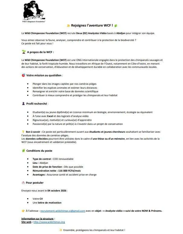 RECRUTEMENT DEUX 02 ANALYSTES VIDEO
