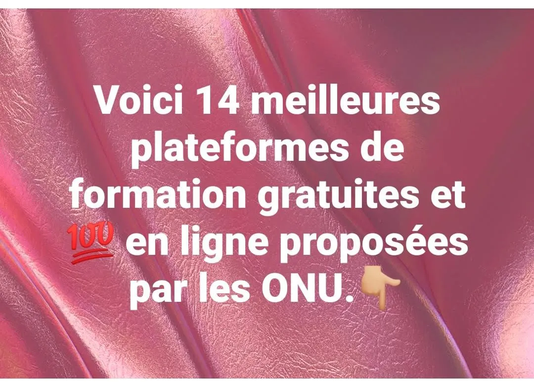 FORMATIONS GRATUITES PAR LES AGENCES DES NATIONS UNIES