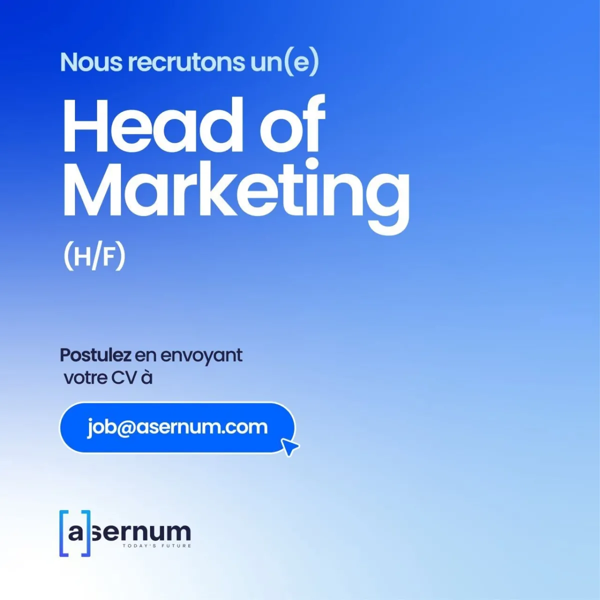 Offre d'emploi RECRUTEMENT HEAD OF MARKETING (H/F)
