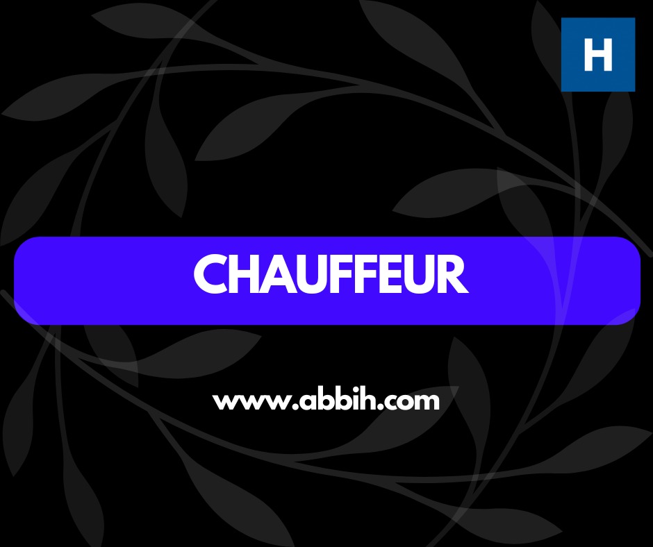 Offre d'emploi CONDUCTEUR YANGO CARGO (H/F)