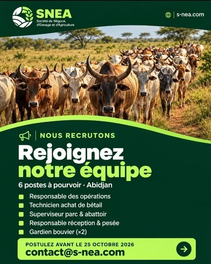 RECRUTEMENT DE PLUSIEURS POSTES