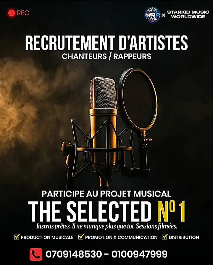RECRUTEMENT D'ARTISTES : PROJET « THE SELECTED N°1 » 🎶