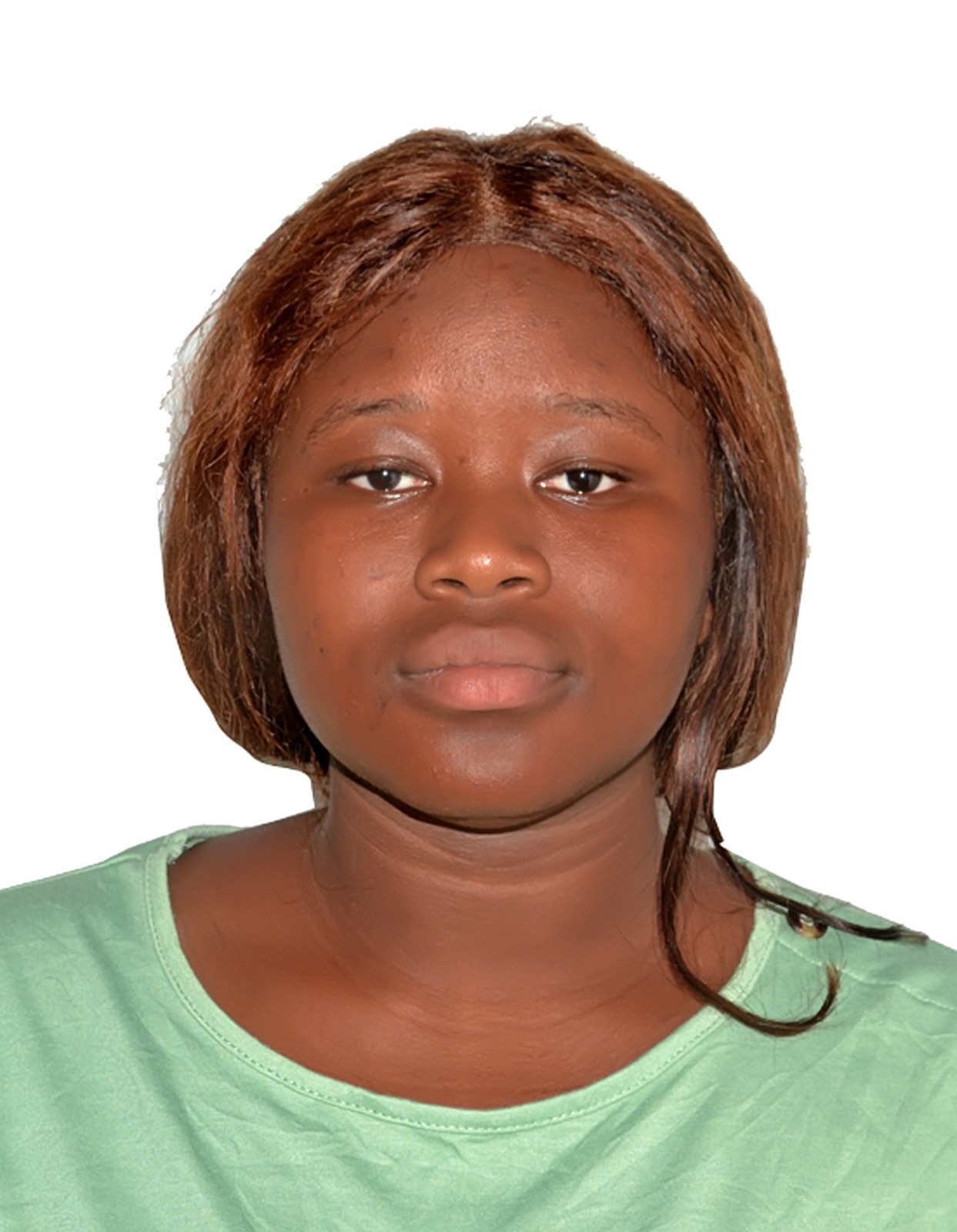 Profil candidat DANSOU Nahoulimba Armelle - Stage de validation de diplôme