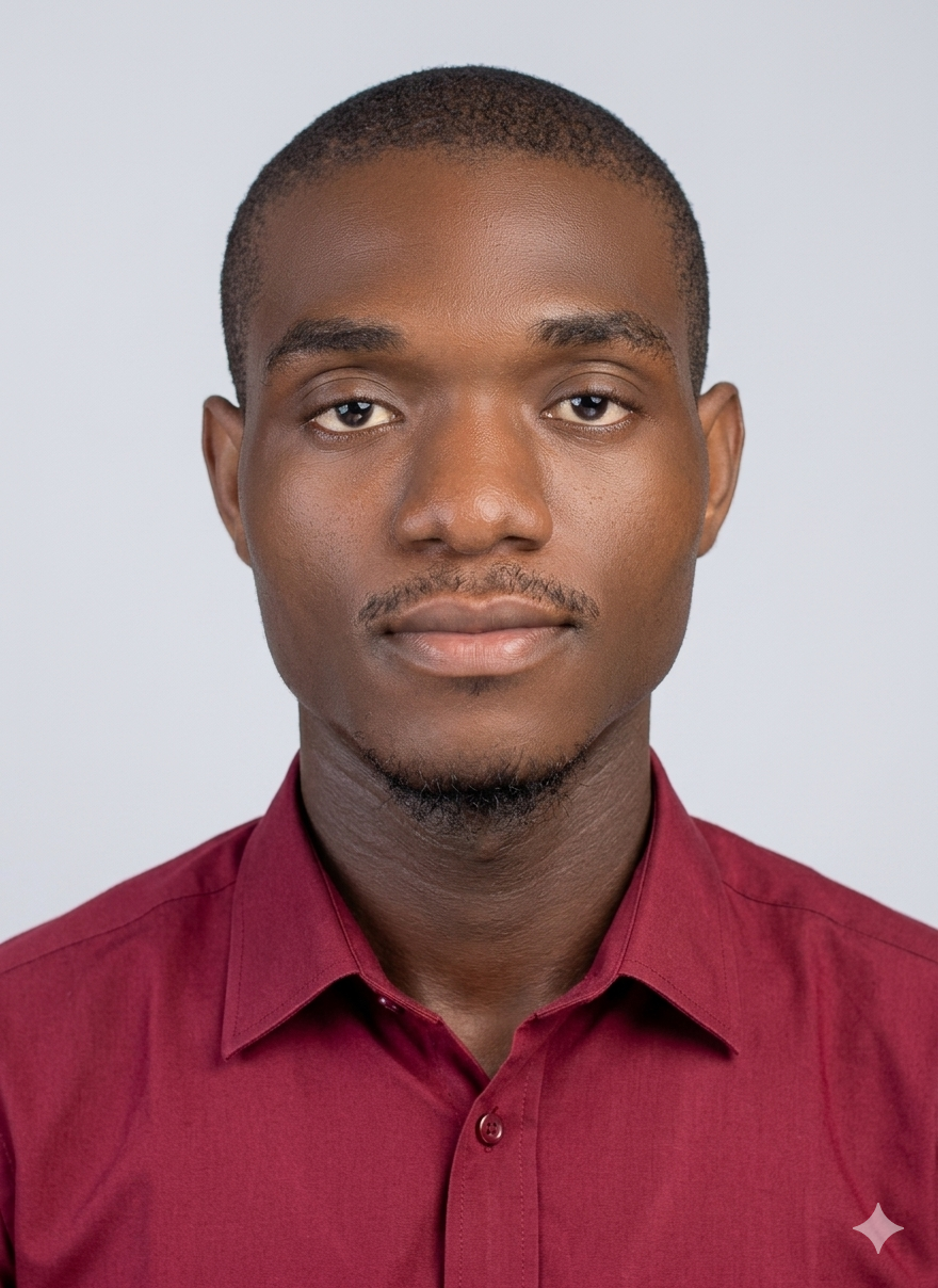 Profil candidat Kouaho Georges michael - Informatique