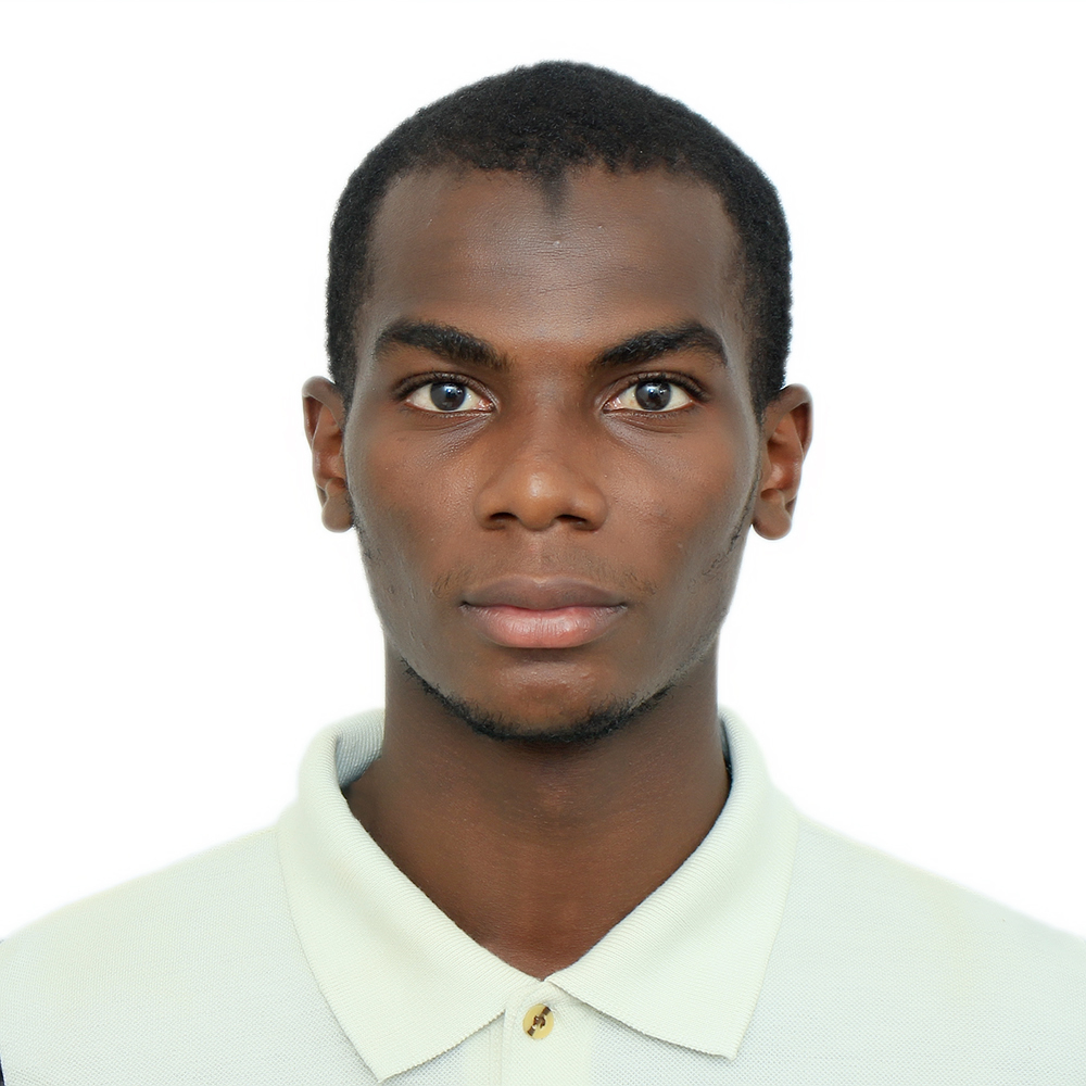 Profil candidat Diakite Sidatt ben Ibrahim - Tout ce que je peux gagner
